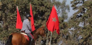 بطولة-المغرب-للترويض-