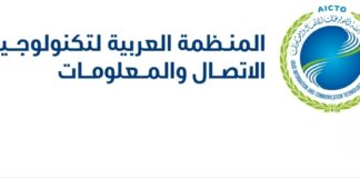 نحو فضاء سيبرني آمن: تحديات واستراتيجيات عربية