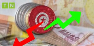 سعر الدينار التونسي اليوم | 10 ديسمبر 2024