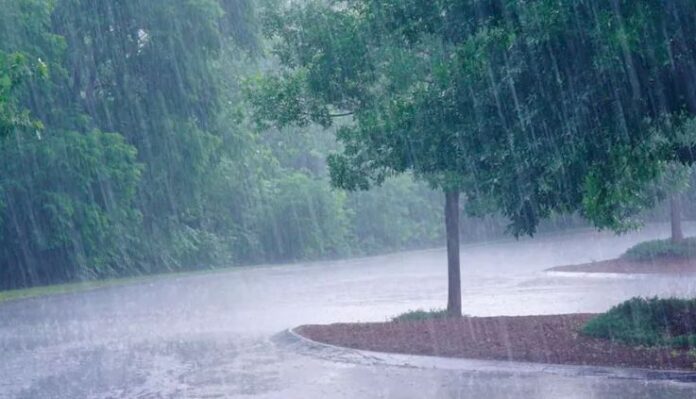 pluies pluies