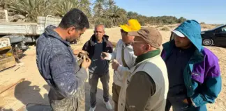 اكتشاف موقع موجب شط الجريدة