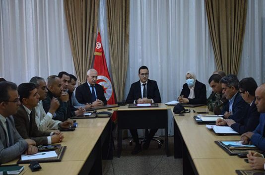 توزر: إجراءات استباقية لمنع وصول الجراد الصحراوي