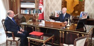 سعيّد يبحث مع وزير الخارجية ملف الهجرة غير النظامية ويؤكد على إصلاح الدبلوماسية