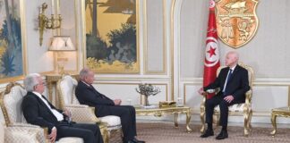 قيس سعيد يدعو إلى إعادة بناء النظام العربي في ظل التحولات العالمية