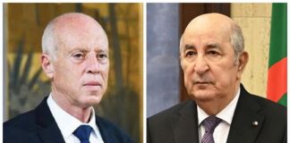 اتفاق مرتقب بين سعيّد وتبون على عقد لقاء رئاسي قريب