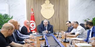 وزير الشباب والرياضة يترأس جلسة تنسيقية استعدادًا لنهائيات كأس تونس في كرة القدم واليد والسلّة