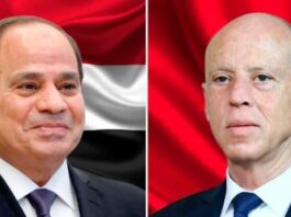 الرئيس قيس سعيّد ونظيره المصري يتبادلان التهاني بمناسبة عيد الأضحى