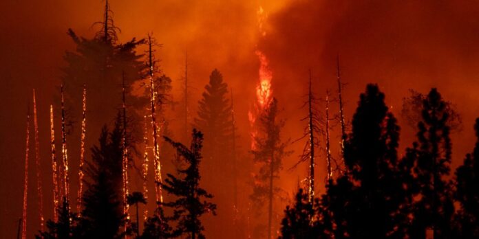 etats-unis-un-incendie-geant-se-propage-a-toute-allure-en-californie حريق هائل يجتاح كاليفورنيا ويهدد بصيف ناري