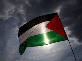 البرتغال تدرس الاعتراف بدولة فلسطين في الأمم المتحدة