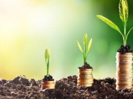 تونس: المصادقة على 1690 استثماراً فلاحياً بقيمة 263.8 مليون دينار في 2025