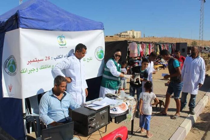 يوم مفتوح لتلقيح الحيوانات ضد داء الكلب مجاناً في تونس