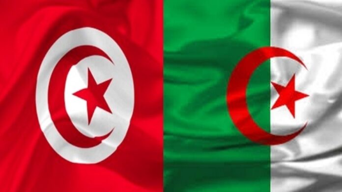 تونس والجزائر توقعان اتفاقاً لتعزيز الصيد البحري المستدام