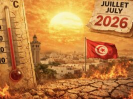 يوليو 2026 ثاني أكثر أشهر يوليو حرارة في تونس