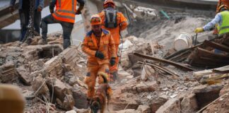 زلزال كولومبيا يرفع حصيلة الوفيات إلى 281 شخصًا