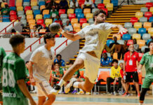 تونس تخسر نهائي إفريقيا U18 أمام مصر 28-25