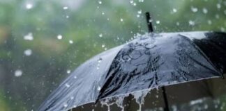 أمطار تصل إلى 40 ملم ورياح قوية في تونس