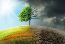 Les fortes pluies en Tunisie sont dues au mouvement de rotation résultant du changement climatique Jamil Al-Hajri, professeur d'université spécialisé en climatologie, s'exprime sur les fortes pluies qui se sont abattues sur