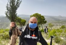 اتفاقية بين كونكت وسول آند بلانيت لغراسة مليون شجرة في تونس