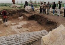 Une mission tuniso-italienne met au jour de nouveaux vestiges dans la ville de Nemluli, à Beja
