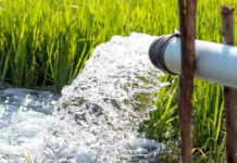 Participants à un colloque scientifique sur l'eau et le développement agricole à la Faculté des sciences économiques et de